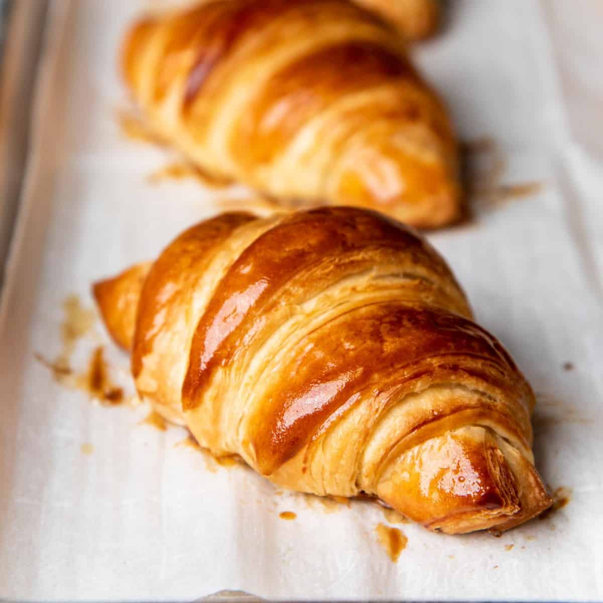 Photo of a croissnat